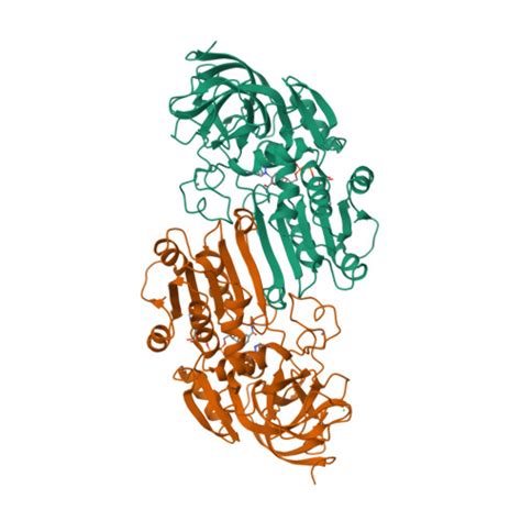 RCSB PDB - 1HDY: THREE-DIMENSIONAL STRUCTURES OF THREE HUMAN ALCOHOL ...