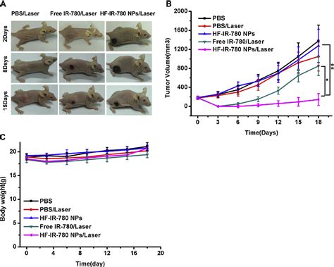 Figure From Ir Dye Loaded Tumor Targeting Theranostic