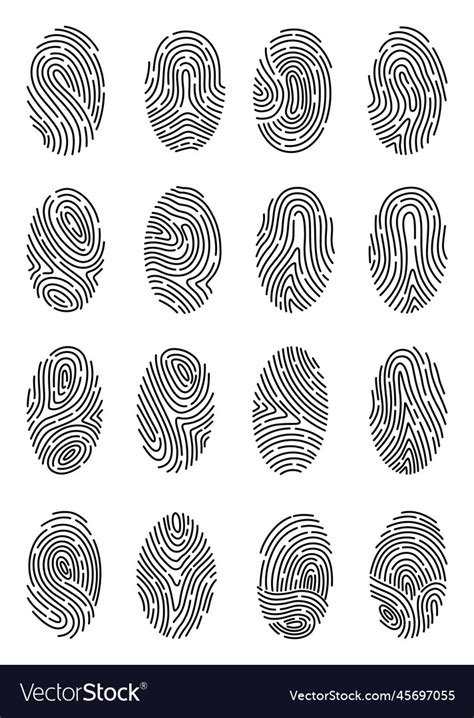 fingerprint identification collection scan vector image
