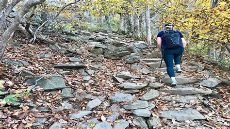 Humpback Rocks: A Blue Ridge Parkway Hiking Trail