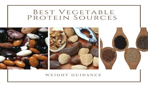 Best Vegetable Protein Sources