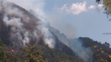 Incêndios atingem áreas de vegetação na Região Serrana do Rio Região