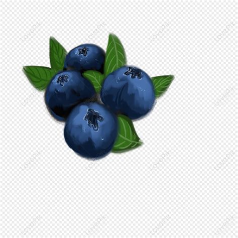 Top 131 Cartoon Blueberry Png Tariquerahman Net