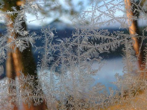 Kostenlose Foto Baum Wasser Natur Ast Schnee Winter Sonnenlicht