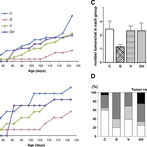 Histopathology Of Dmba Induced Mammary Tumors Histopathological