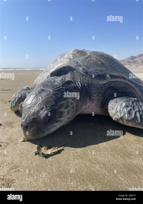 Hingol National Park Hi Res Stock Photography And Images Alamy