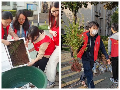 湖南理工职业技术学院 植绿护绿 湖南理工职业技术学院开展植树节活动