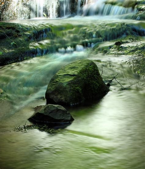 Bakgrundsbilder träd natur skog bäck vildmark vandring blad