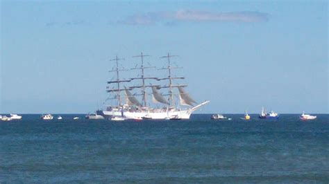 I M Trying Honestly The Tall Ships