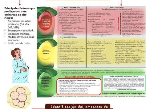 Portafolio Electr Nico De Ginecolog A Y Obstetricia Brandon Arturo