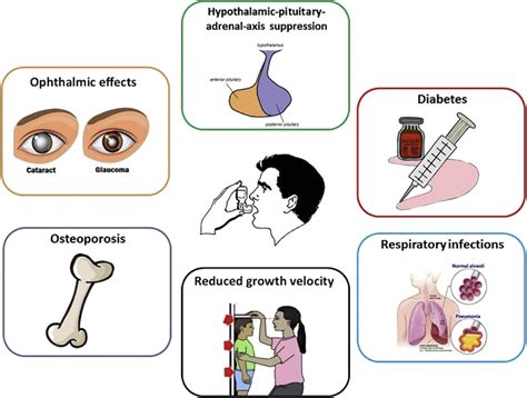 Inhaled Corticosteroids Safety And Adverse Effects In Patients With