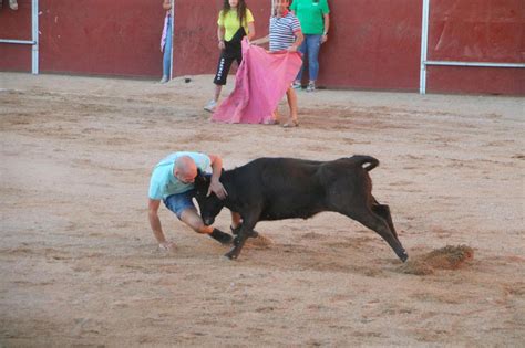 Fotos Festejos Taurinos en Baltanás El Norte de Castilla