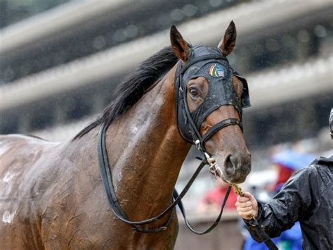 【メイクデビュー東京5rレース後コメント】カルツァクライン津村明秀騎手ら 競馬ニュース Netkeiba