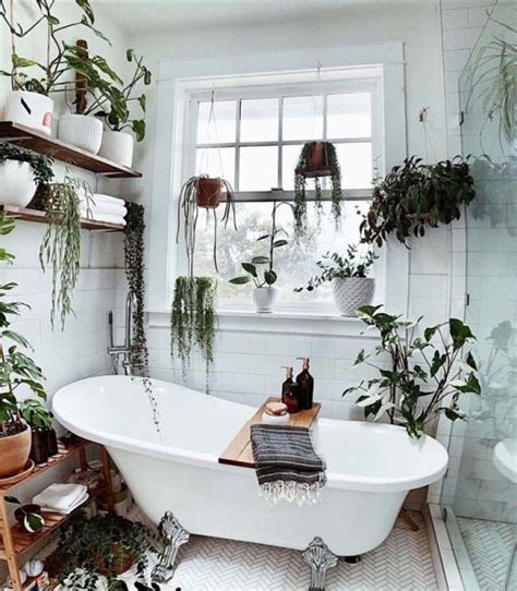 18 Best Hanging Plant Ideas For Bathroom That Will Make It Full Of Life