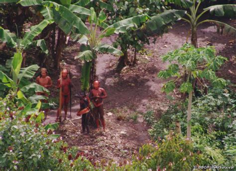 Amazon Tribes-untouched by Civilization Video/Film Myths and Facts ...