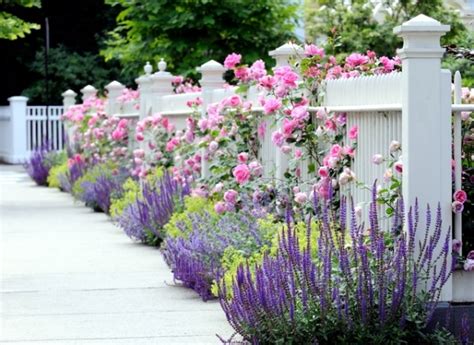 Color scheme for your garden landscaping Plan-choose the best colors ...