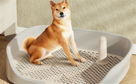 puppy dog potty tray dog potty fence dog toilet puppy dog potty tray