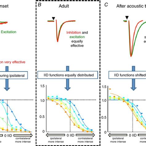 Modelling Shows That Convergence Of EPSC And IPSC Kinetics Is Required