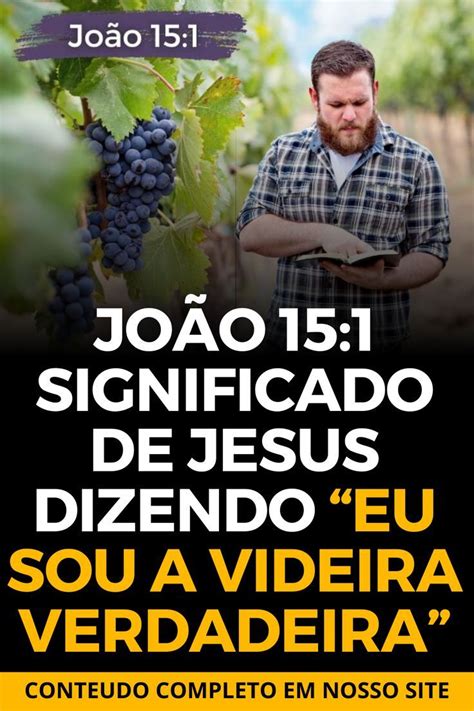 João 15 1 Significado de Jesus dizendo Eu sou a videira verdadeira