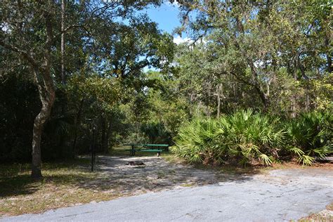 Alexander Springs | Florida Hikes!