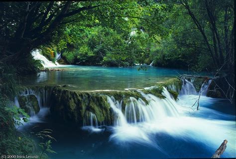 Interesting Green: Waterfall, Dolphins, Lovely Scenery, Picture