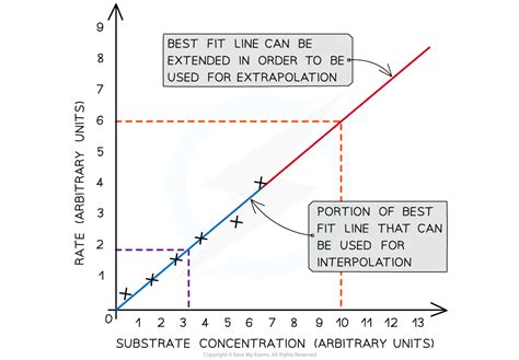 Maths Skill Drawing A Graph For Enzyme Rate Experiments Aqa A Level Biology Revision Notes 2017