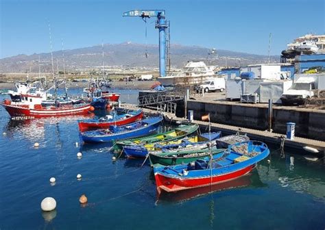 La Pesca Artesanal Se Suma A Las Movilizaciones De Agricultores Y