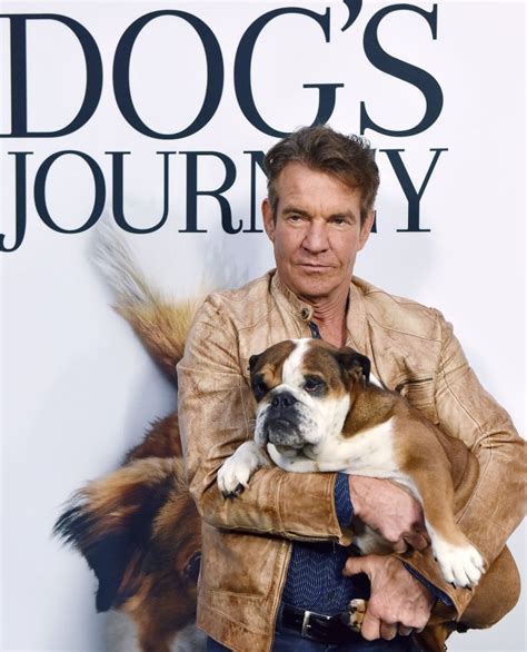 In Photos Dennis Quaid Attends A Dogs Journey Premiere All Photos