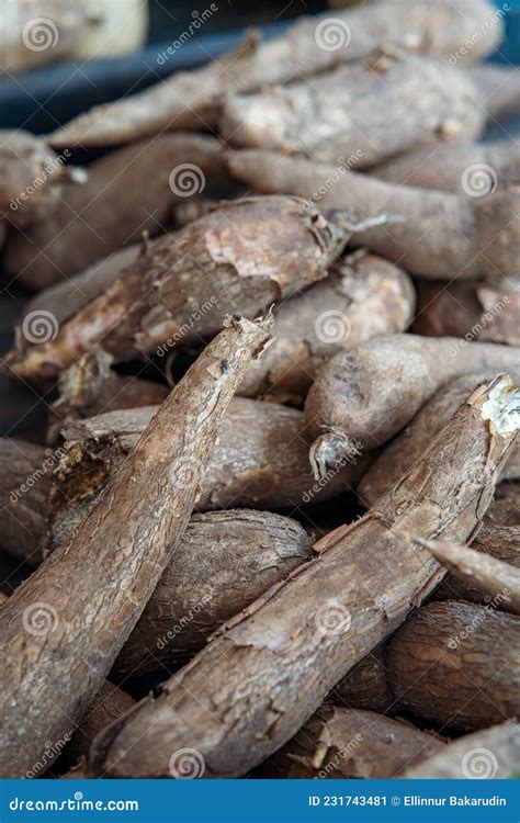 Cassava Also Called Manioc Yuca Balinghoy Mogo Mandioca Kamoteng Kahoy Tapioca And Manioc