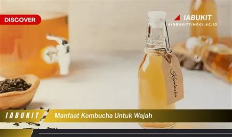 Ketahui 7 Manfaat Kombucha Untuk Wajah Yang Jarang Diketahui Bikin