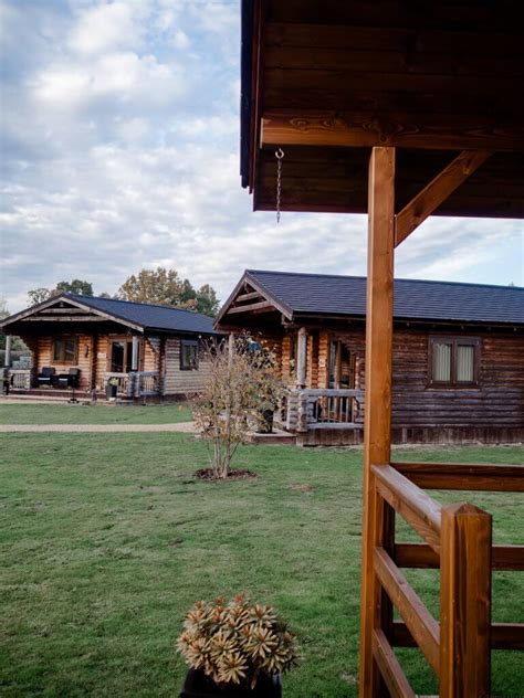 The Big Cat Sanctuary Review: Lodges, Lions & Little Ones Too | The ...