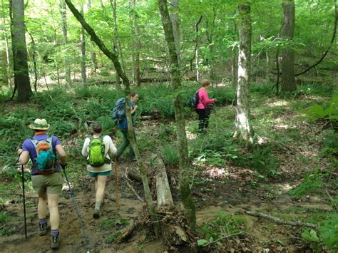 Mst At 40 Five Great Hikes In The Piedmont Great Outdoor Provision