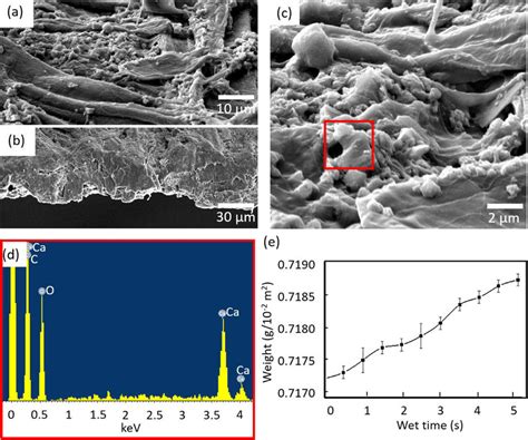 SEM Images And Energy Dispersive Spectrometer EDS Analysis For The