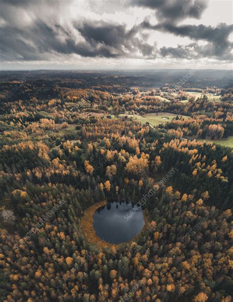 Aerial view of a lake and autumn forest, Vorumaa, Estonia - Stock Image ...