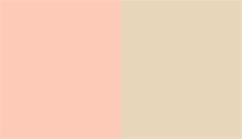 Natural Color System S Y R Vs Ral Light Ivory Ral Side By