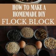 DIY Flock Block For Chickens An Off Grid Life