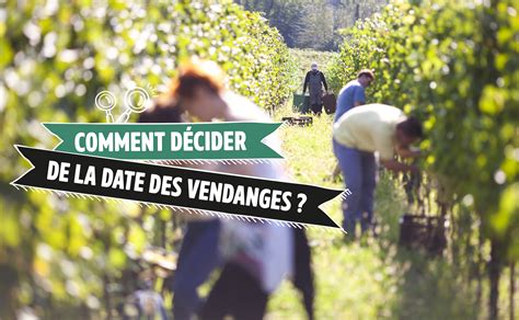 Comment décider de la date des vendanges