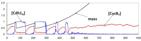 mutant cell completing  cell cycles  dying