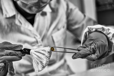 Forensic Expert Examining Crime Scene Evidence Photograph By Microgen Images Science Photo Library