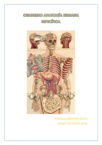 Cuaderno De Practicas Anatomia Especifica Pdf