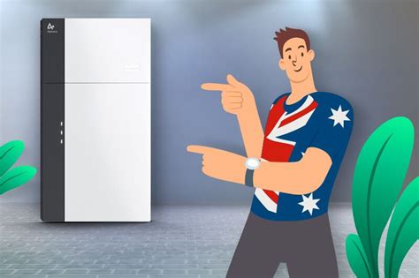 alpha ess maintenance   guide  australians solar emporium