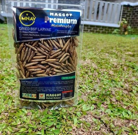 Jual Maggot Makanan Pakan Ikan Atau Pelet Pakan Ikan Maggot Premium