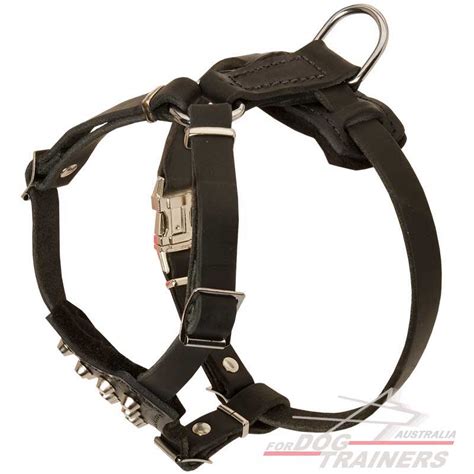buy walking studded leather dog harness puppies small breeds