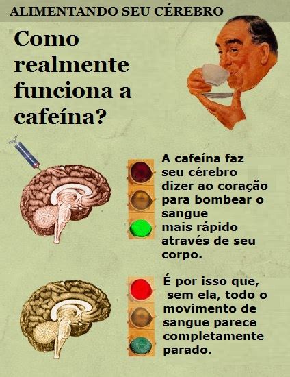 Neurociências em benefício da Educação Cafeína e sua atuação no cérebro