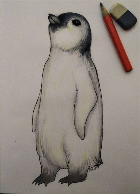 Baby Penguin - by Maku by CallMeMaku on DeviantArt