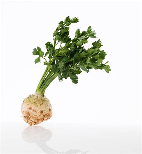 Celery Root - Healthier Steps