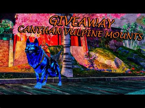 Closed Guild Wars Weekly Giveaway Canthan Vulpine Mount Pack