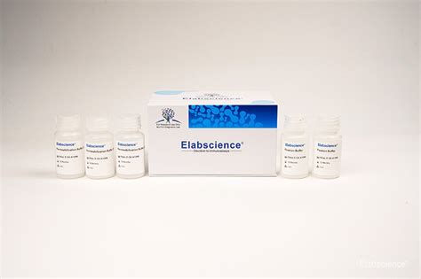 Intracellular Fixation Permeabilization Buffer Kit Elabscience