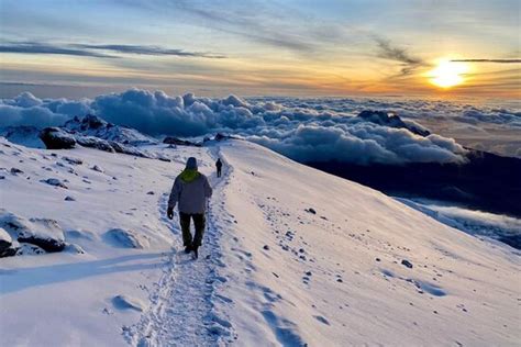 Kilimanjaro Trekking Expert Moshi Tripadvisor