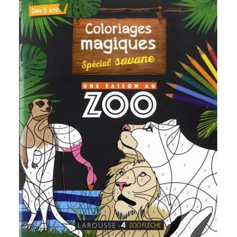 Mon Cahier De Coloriages Magiques Sp Cial Savane Cdiscount Jeux Jouets